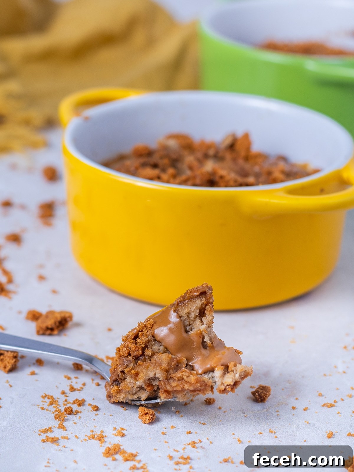 spoonful of oatmeal on the table with crumbs around it