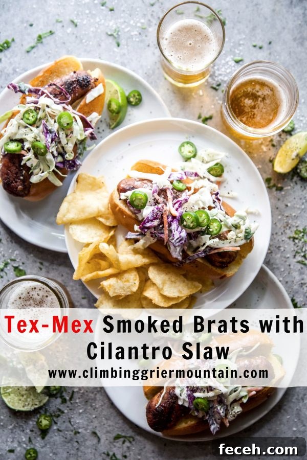 Tex-Mex Smoked Brats with Fresh Cilantro Slaw 8 Tex-Mex Smoked Brats with Cilantro Slaw www.climbinggriermountain.com