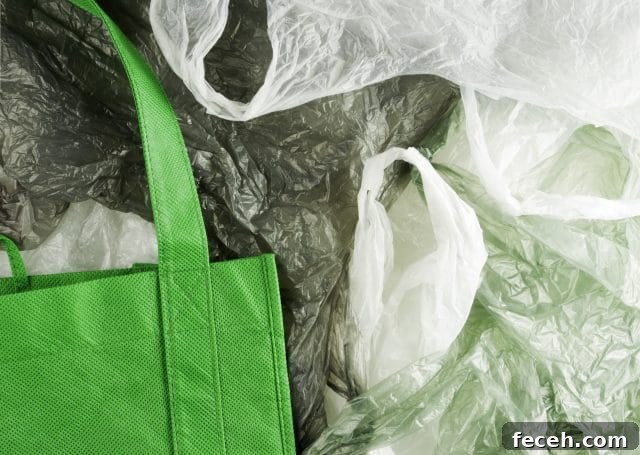 plastic shopping bag alternatives