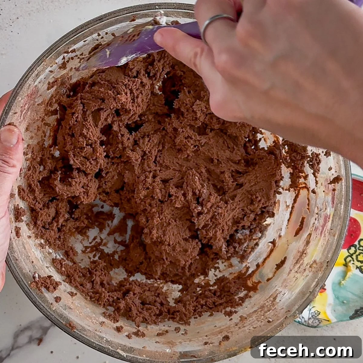Scraping the sides of the bowl after adding the cocoa powder.