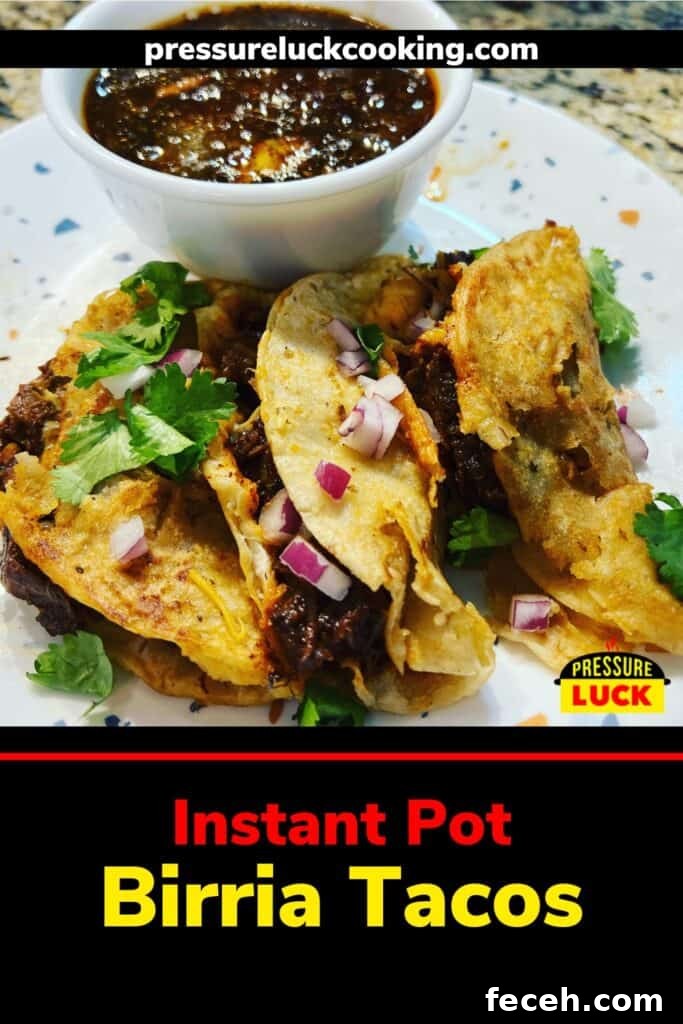 Instant Pot Birria Quesabirria Tacos Recipe 2 Birria Tacos