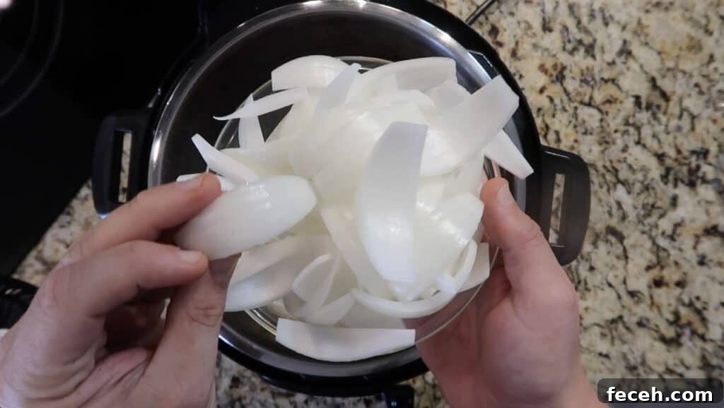 Instant Pot Birria Quesabirria Tacos Recipe 12 ...and onion.