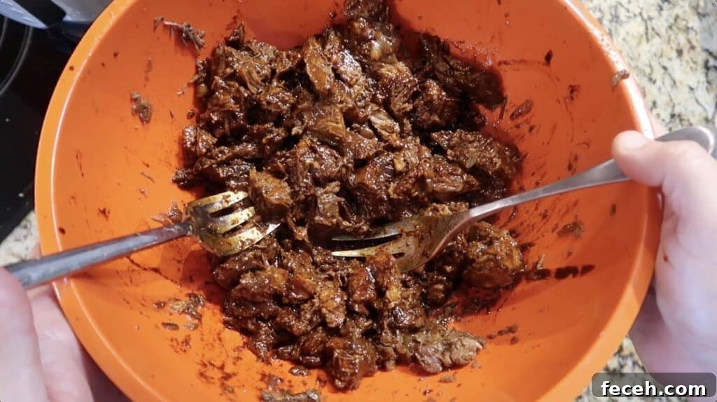 Instant Pot Birria Quesabirria Tacos Recipe 24 ...and onto the meat! Mix the strained purée with the meat. Not only will it add rich flavor, but it will keep it moist.