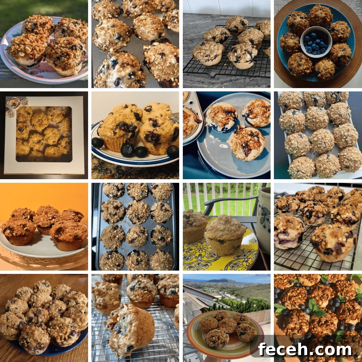 RPL Recipe Club — July 2023 Monthly Meal Ideas 2 Grid of 16 recipe remakes of the vegan blueberry muffins.