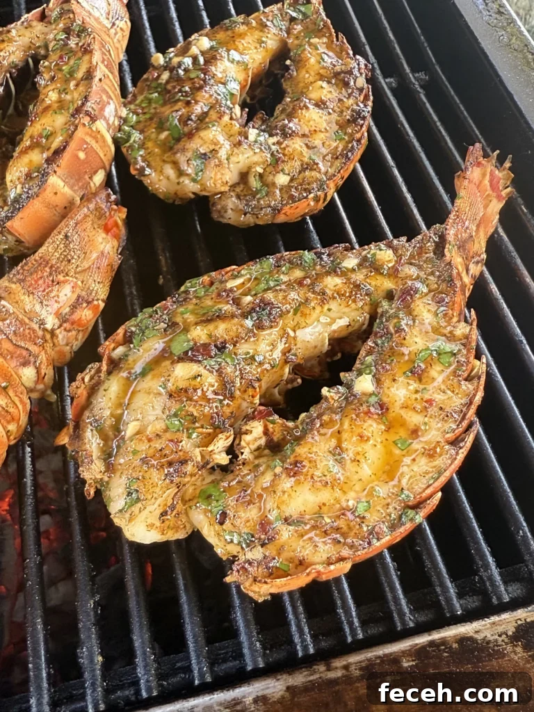 Chipotle Honey Grilled Lobster Tails Recipe 8 grilling chipotle honey lobster tails