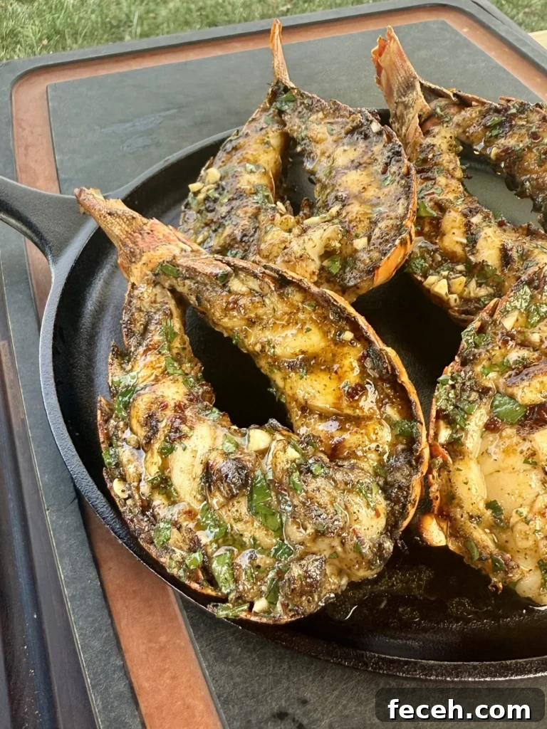 Chipotle Honey Grilled Lobster Tails Recipe 9 lobster tails garnished on a plate