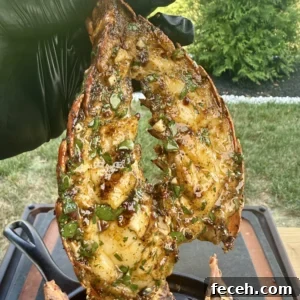Chipotle Honey Grilled Lobster Tails Recipe 10 perfectly seared chipotle honey butter lobster tails