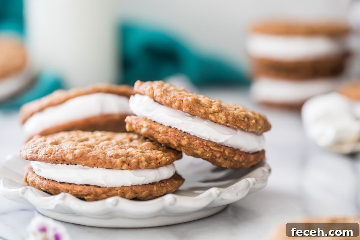 white decorative plate containing three oatmeal cream pies propped against each other