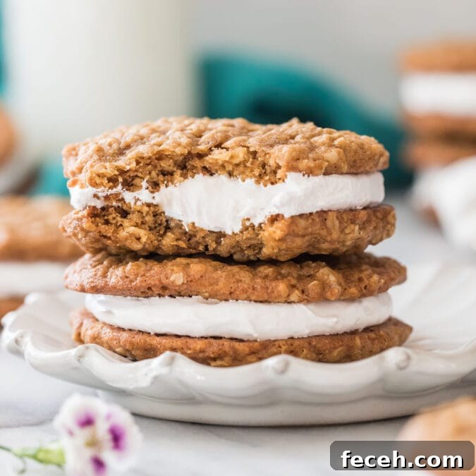 close-up view of two oatmeal cream pies stacked on top of each other on a white decorative plate, with the top cream pie missing a bite