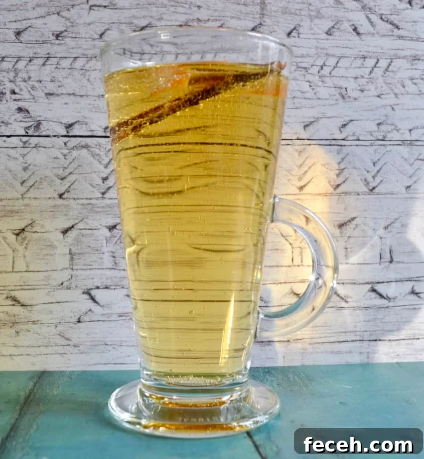 10 Gluten- and Dairy-Free Apple Recipes You’ll Love 10 mulled apple