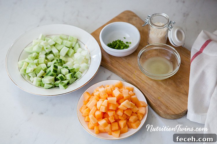 0004_NutritionTwins-cucumber-melon-cantaloupe-lime-mint-serrano-pepper-salad-summer_logo