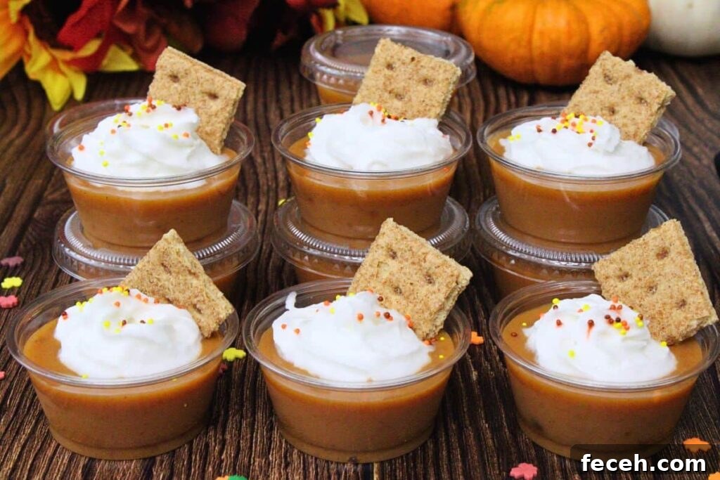 six pumpkin pie pudding shots in two rows topped with whipped cream sprinkles and graham cracker