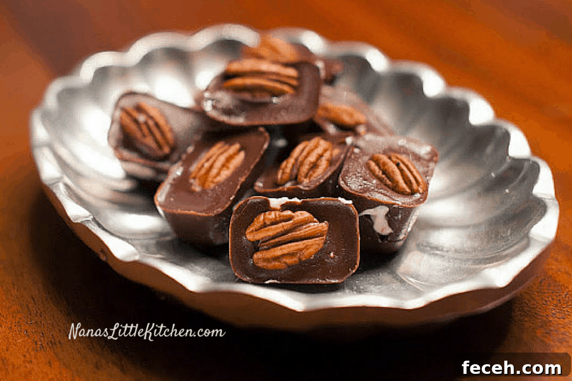 Chocolate Covered Cheesecake Bites
