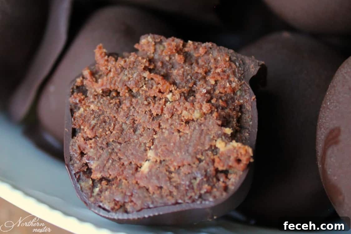 Chocolate Peanut Butter Protein Truffles