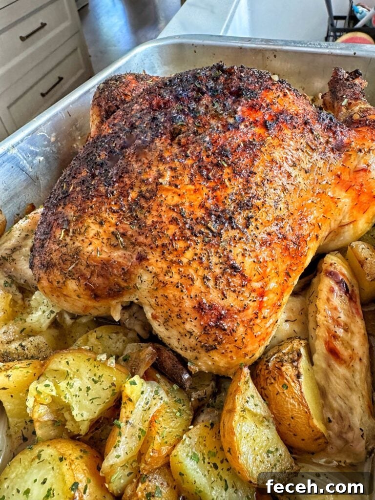Citrus Herb Roast Chicken for Summer Gatherings 2 Summer roast chicken over potatoes