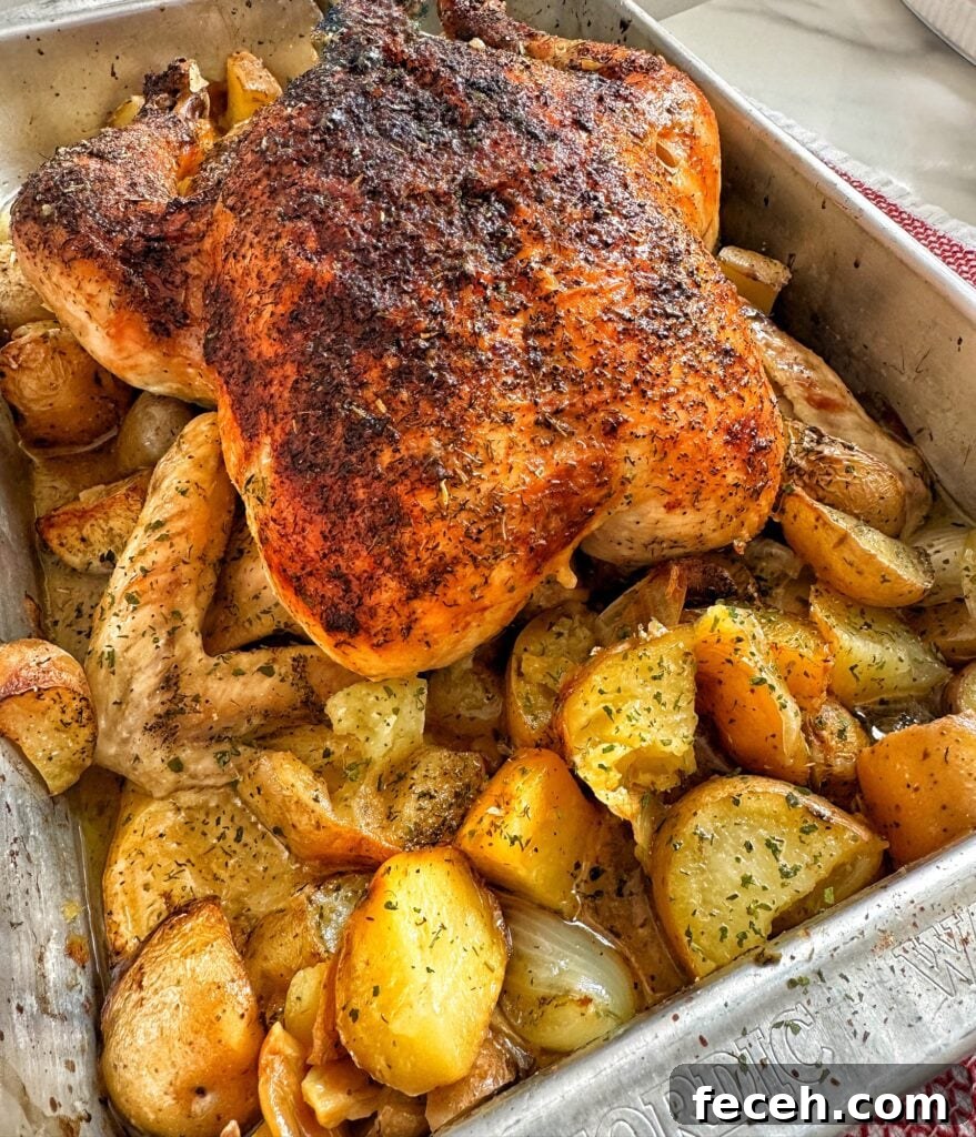 Citrus Herb Roast Chicken for Summer Gatherings 6 The finished roast chicken over potatoes
