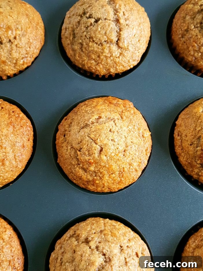 Sugar Free Whole Wheat Banana Muffins - Healthy dairy-free banana muffins made with whole wheat flour & no refined sugar. Perfect for a low calorie & low fat breakfast or snack!