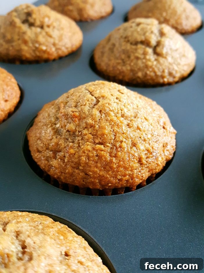 Sugar Free Whole Wheat Banana Muffins - Healthy dairy-free banana muffins made with whole wheat flour & no refined sugar. Perfect for a low calorie & low fat breakfast or snack!
