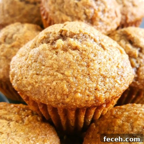 Sugar Free Whole Wheat Banana Muffins - Healthy dairy-free banana muffins made with whole wheat flour & no refined sugar. Perfect for a low calorie & low fat breakfast or snack!