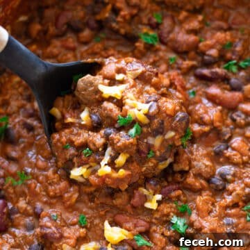 Hearty Three-Bean Chili Recipe: Simple Weeknight Dinner 14 Large pot of Three Bean Chili with a ladle.
