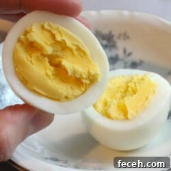 Egg close up in hand