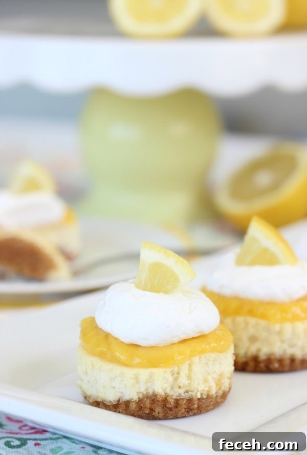 mini cheesecakes with lemon curd, whipped cream and lemon wedge