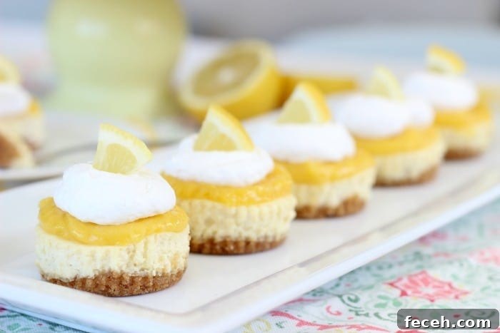 5 lemon cheesecakes on platter