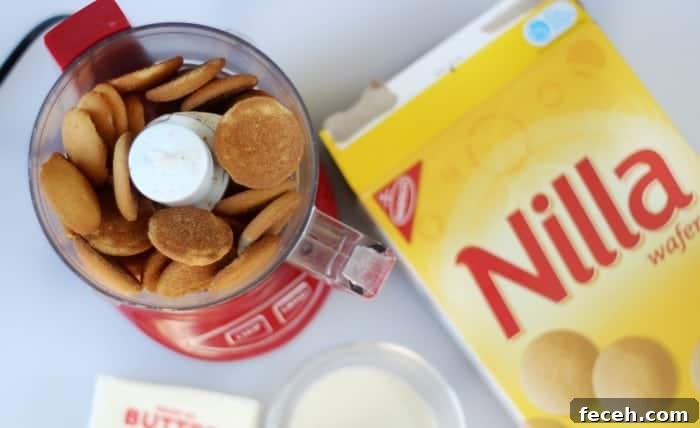 Nilla wafer cookies in food processor