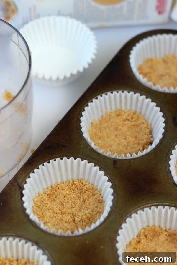 white muffin cups with cookie crust pressed in the bottom