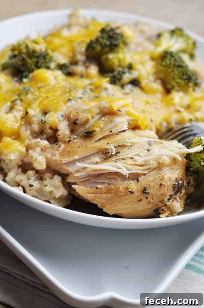 Chicken Divan on a plate with cheese