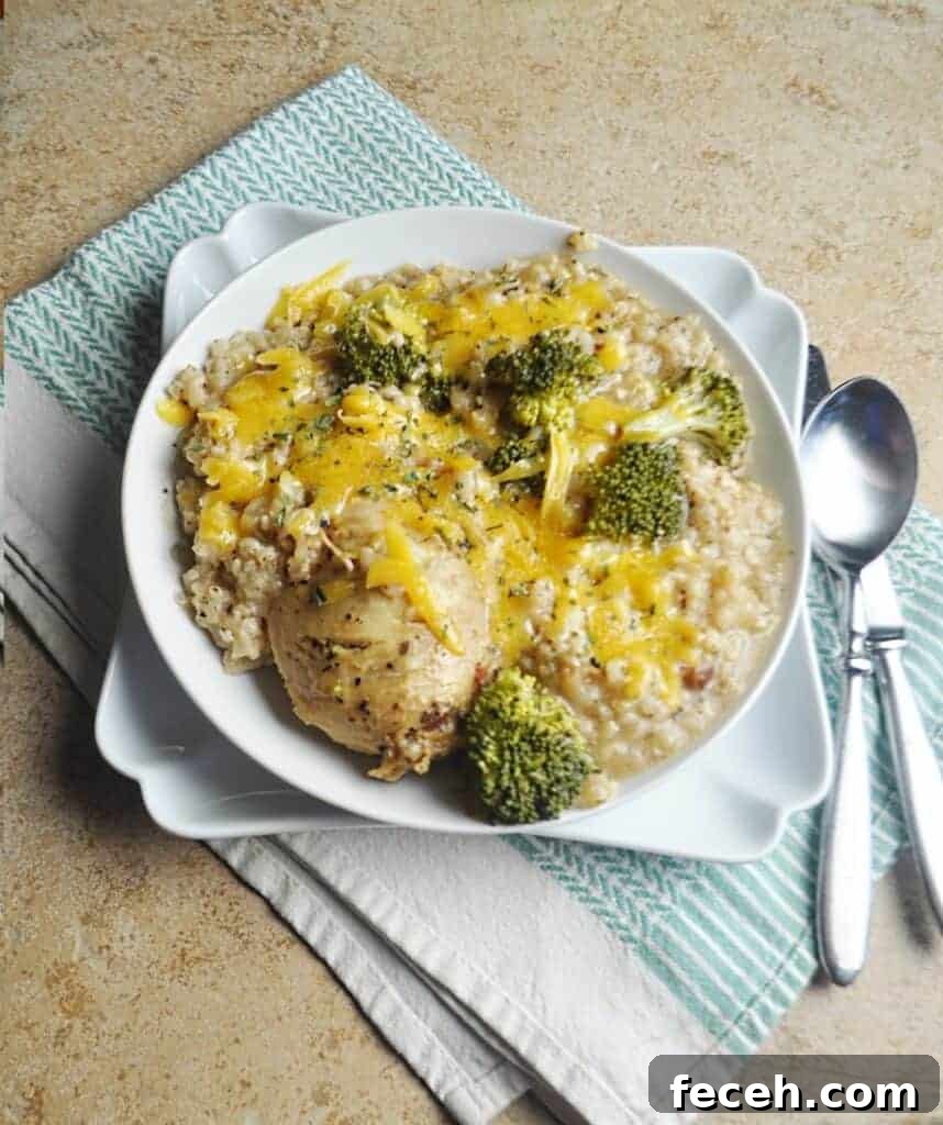 Chicken with broccoli & rice