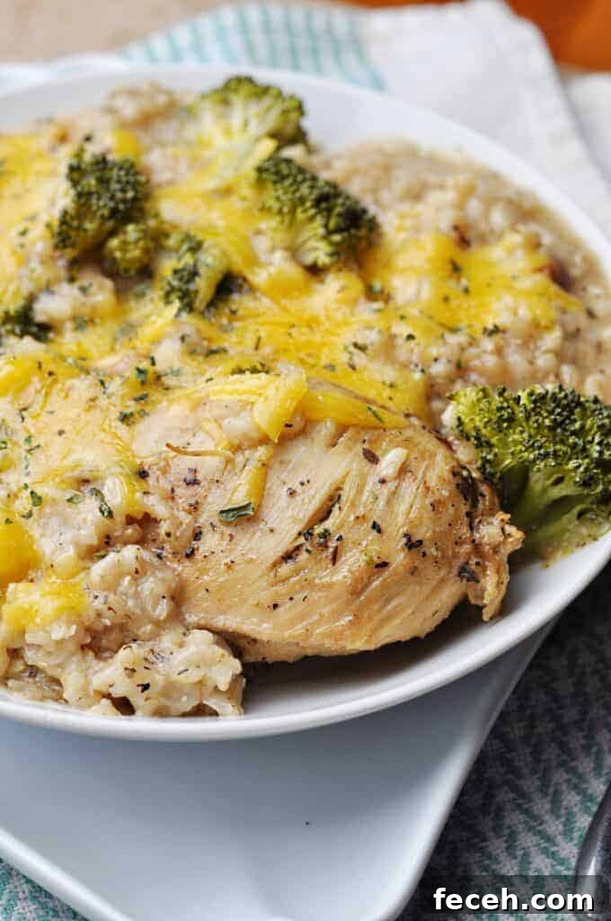 Chicken Crock Pot Recipe with broccoli & rice