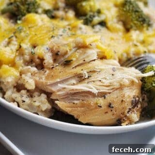 Chicken Divan on a plate with cheese