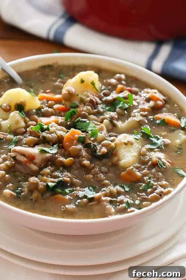 Hearty Chicken, Pumpkin & Lentil Stew Recipe 2 Top view of Warm Chicken and Pumpkin Lentil Stew with spoon in a bowl