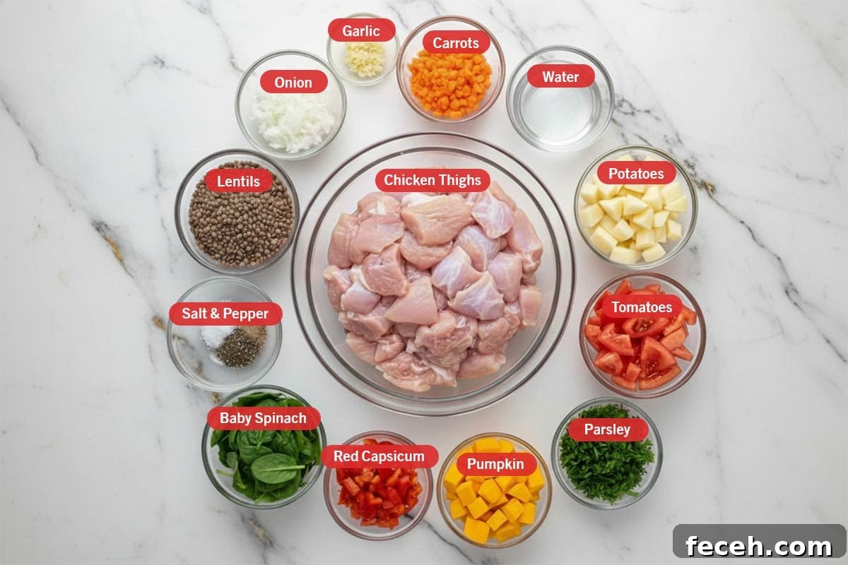 Hearty Chicken, Pumpkin & Lentil Stew Recipe 3 Top shot of ingredients: carrots, water, potatoes, tomatoes, parsley, pumpkin, red capsicum, baby spinach, salt & pepper, lentils, onion, garlic, and chicken thighs.