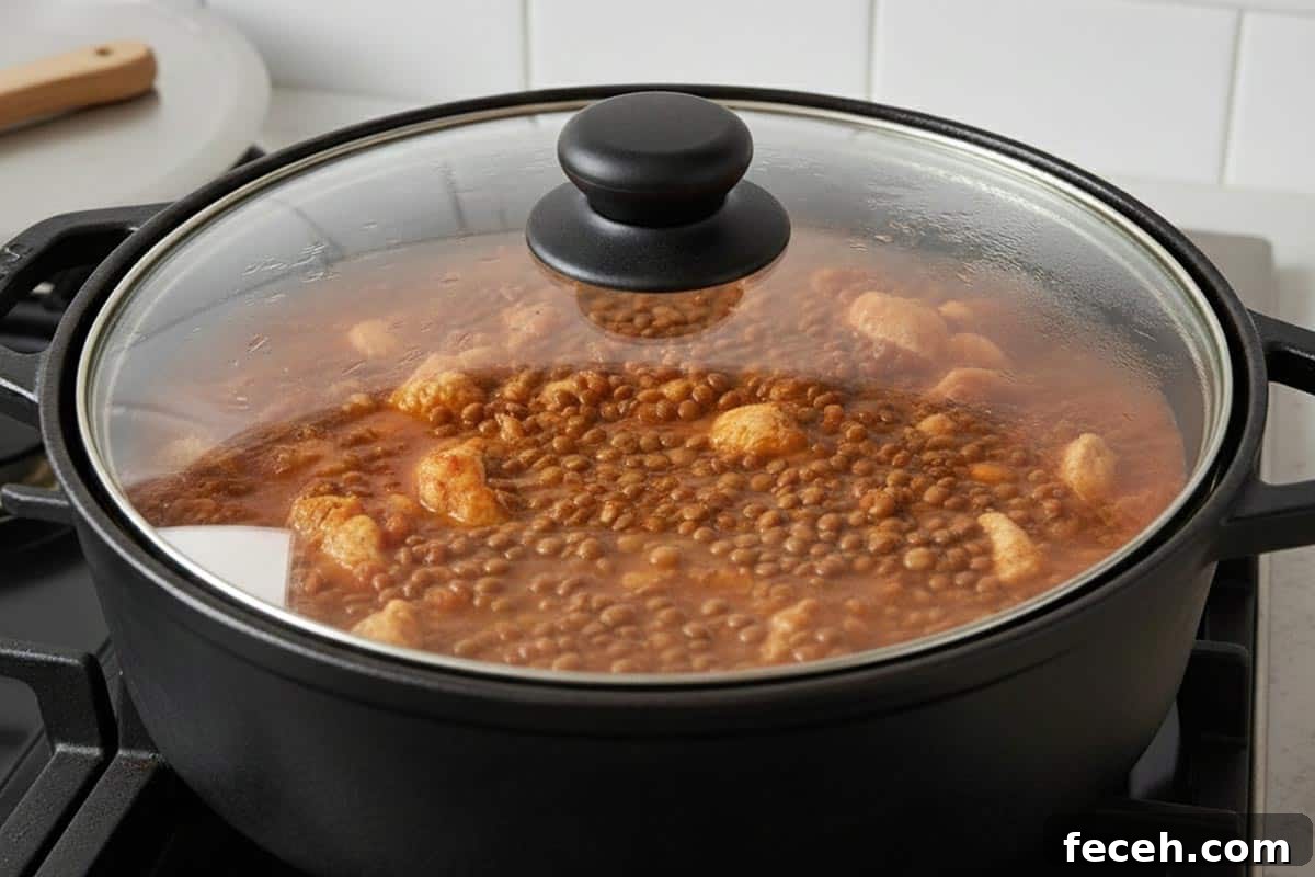 Hearty Chicken, Pumpkin & Lentil Stew Recipe 6 Added the lentils and simmer.