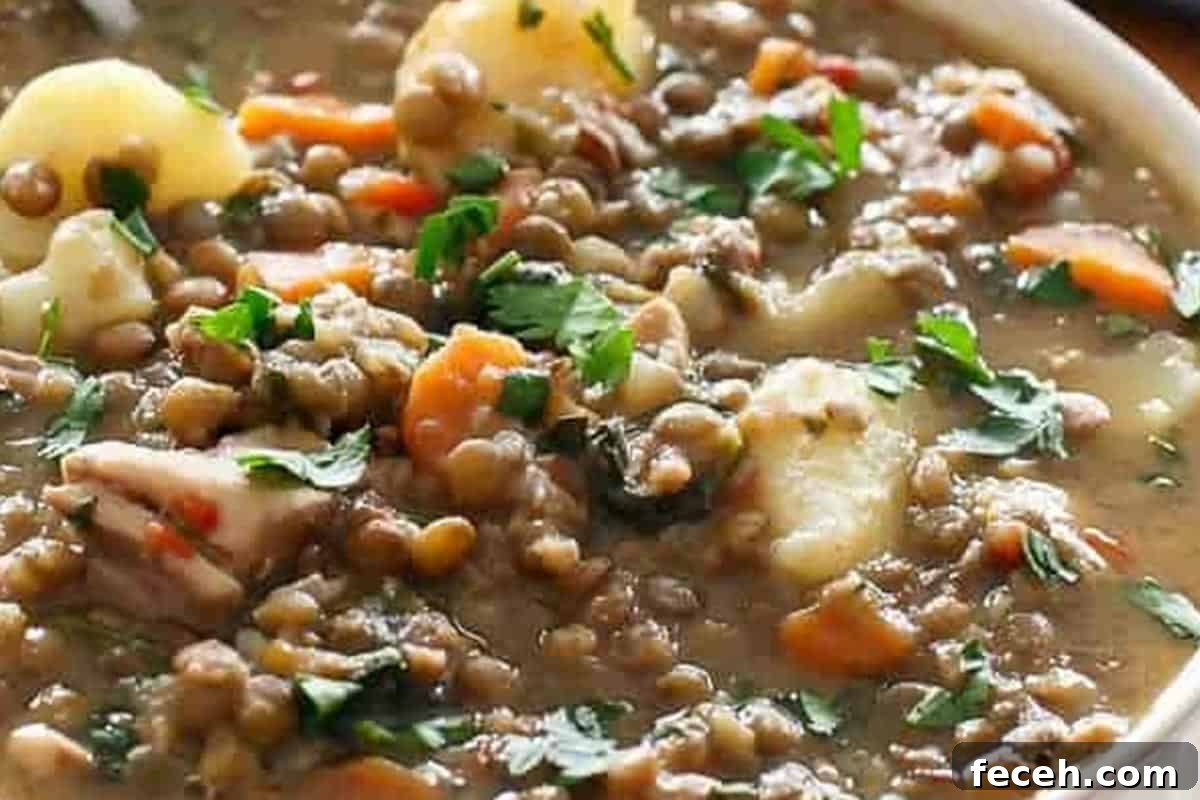 Hearty Chicken, Pumpkin & Lentil Stew Recipe 7 Close-up shot of Chicken Pumpkin Lentil Stew.