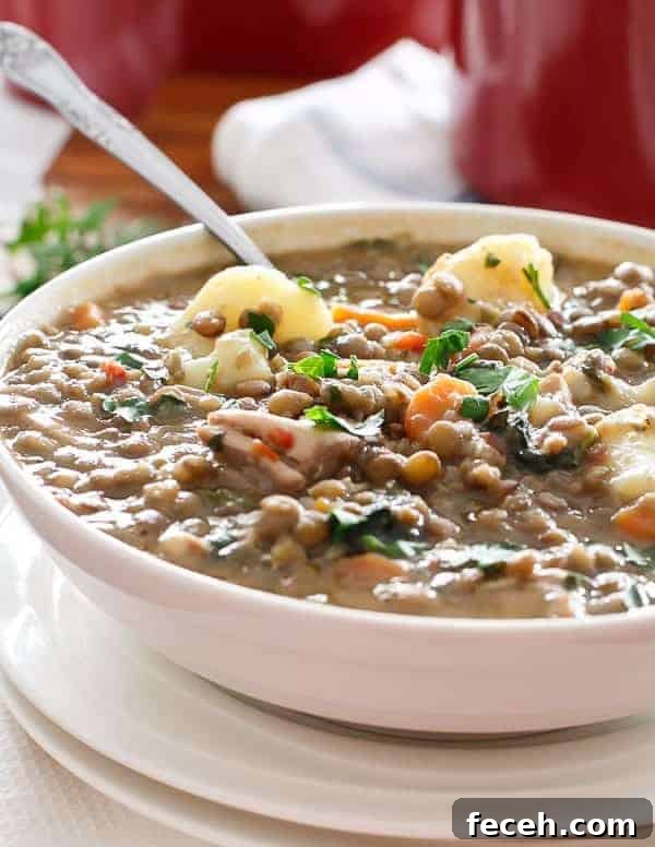 Hearty Chicken, Pumpkin & Lentil Stew Recipe 8 Warm Chicken and Pumpkin Lentil Stew with spoon in a bowl
