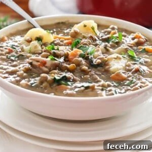 Hearty Chicken, Pumpkin & Lentil Stew Recipe 9 Warm Chicken Lentil Stew in a bowl