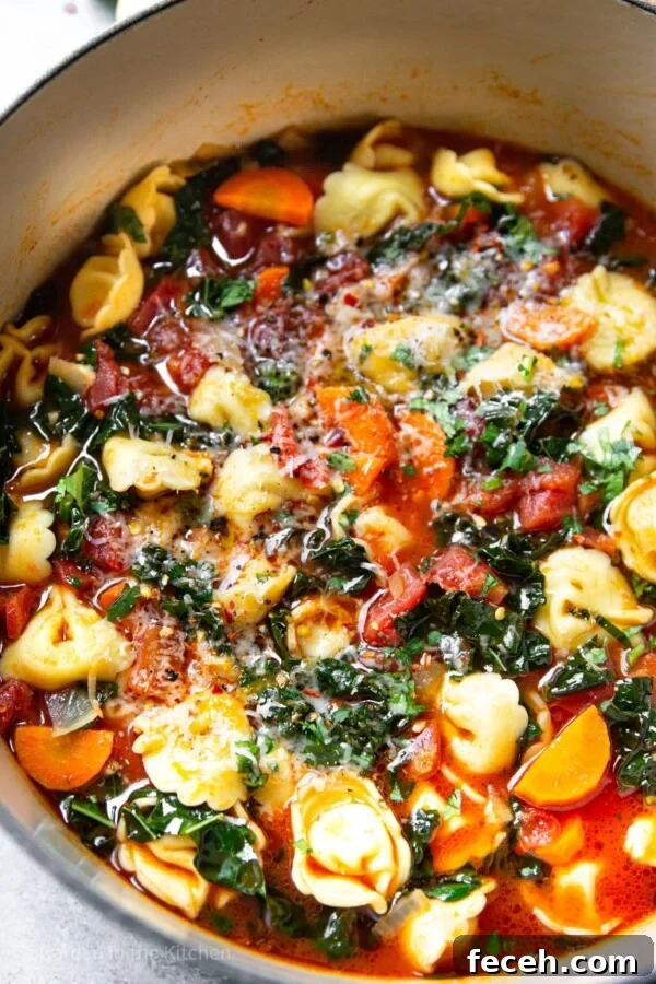 Creamy Butternut Squash and Apple Soup Recipe for Fall 12 vegetable tortellini soup