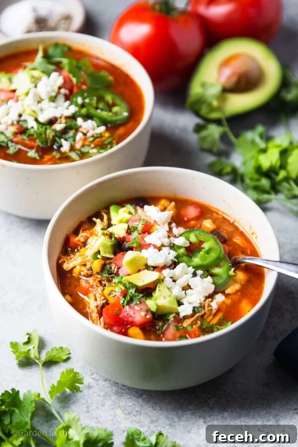 Creamy Butternut Squash and Apple Soup Recipe for Fall 13 Mexican chicken soup in instant pot