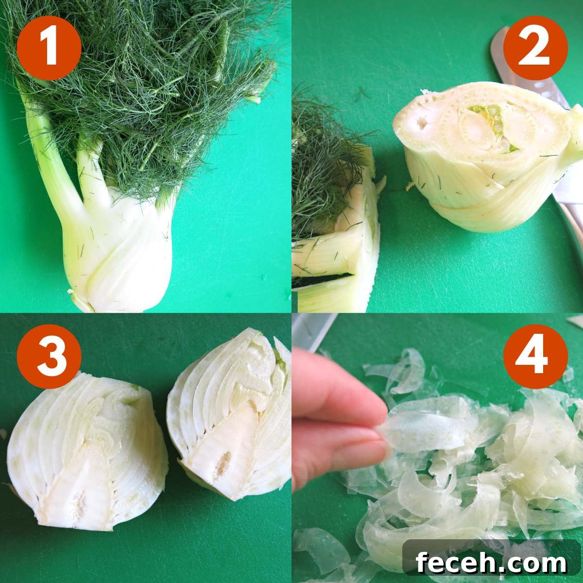 Summer Fennel Salad with Feta, Watermelon and Toasted Pecans 5 Collage of pictures to shave fennel.