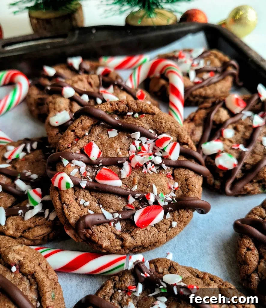 Chocolate Candy Cane Crunch Cookies