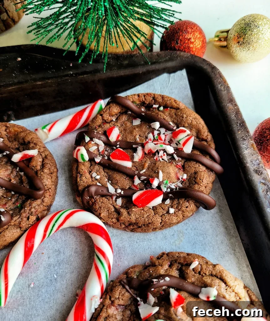Chocolate Candy Cane Crunch Cookies