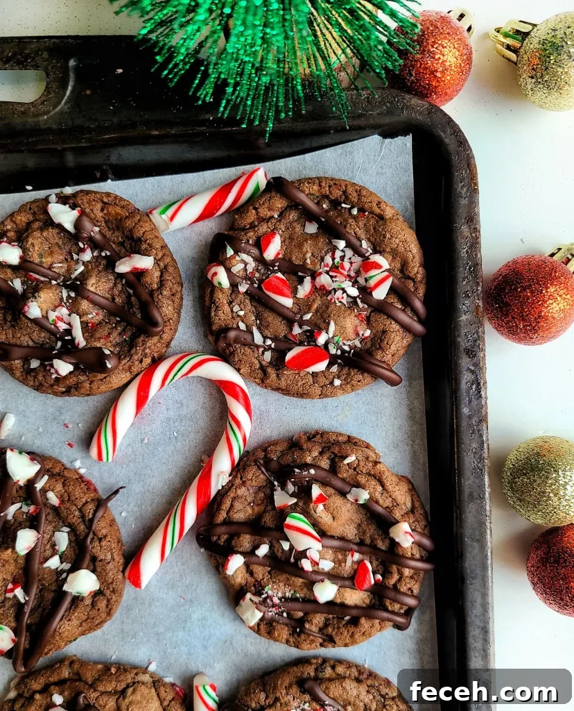 Chocolate Candy Cane Crunch Cookies
