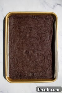 Brownie cookies