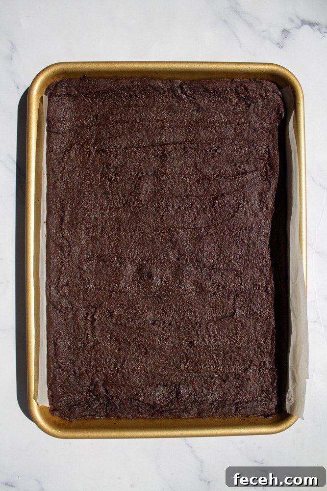 Brownie cookies