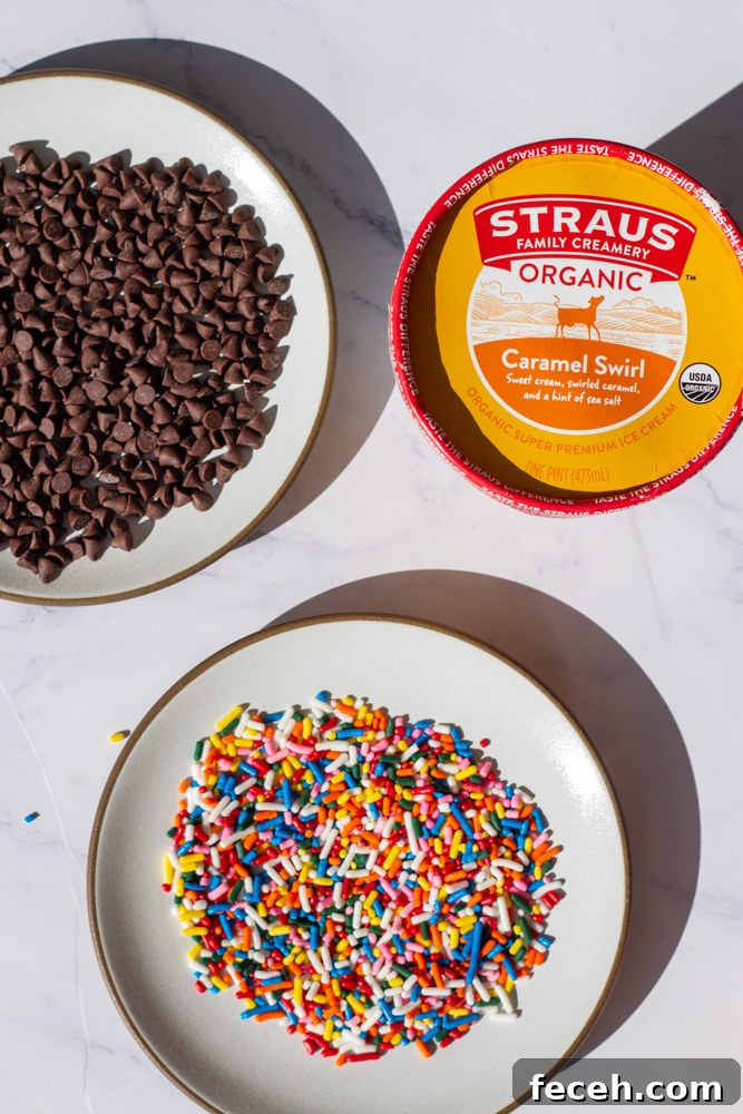 Ice cream sandwich toppings