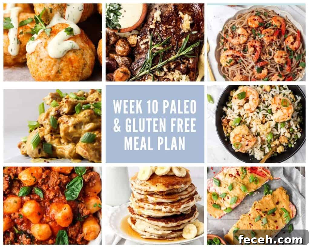 Gluten-Free Paleo Meal Plan: Dairy-Free Weekly Menu & Recipes 2 gluten free paleo meal plan collage