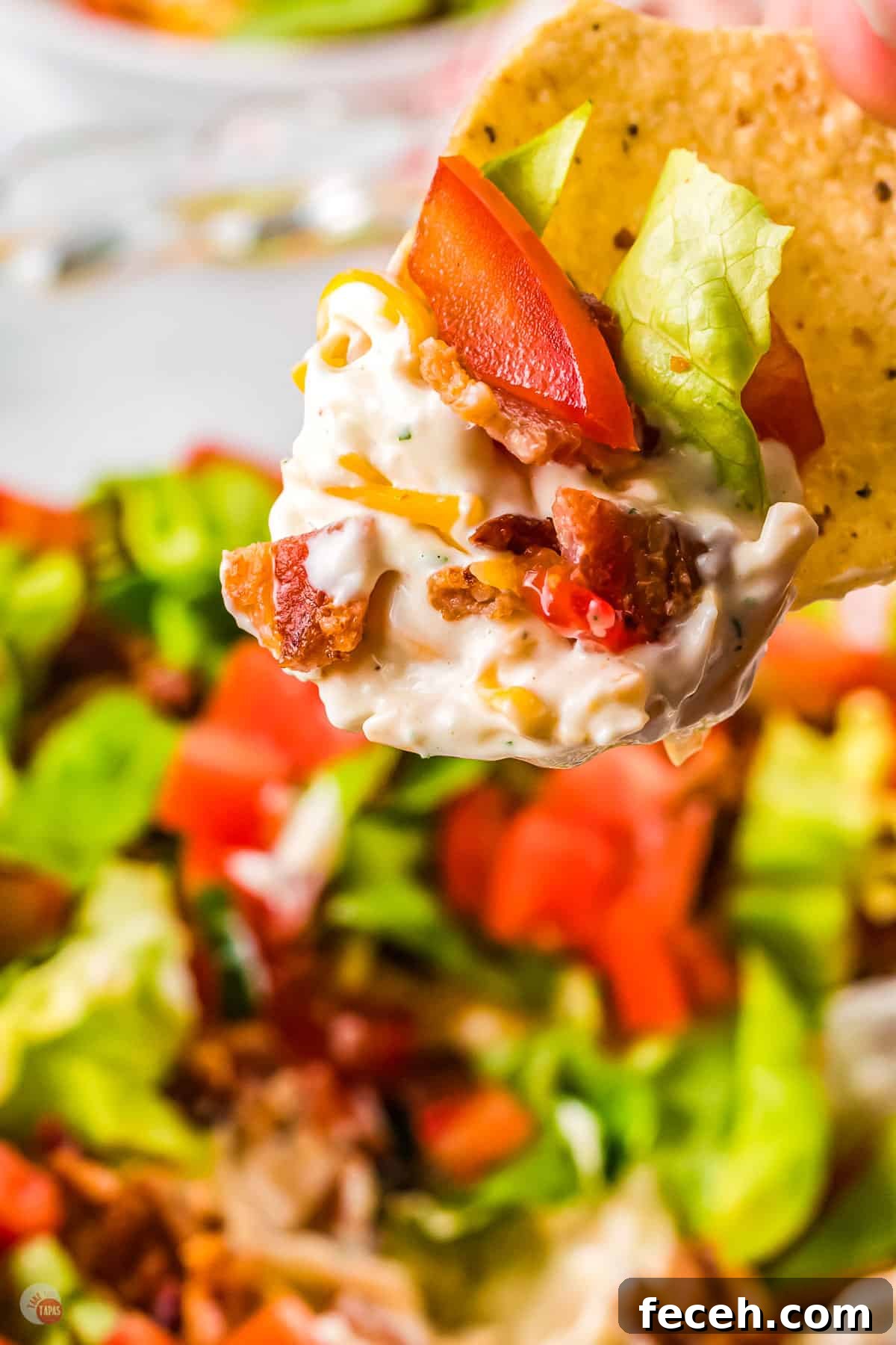 A chip covered in a dip creamy sauce, bacon, cheese, lettuce and tomatoes, being held in mid-air.
